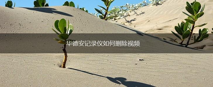 华德安记录仪如何删除视频,第1张