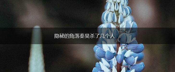隐秘的角落秦昊杀了几个人,第1张