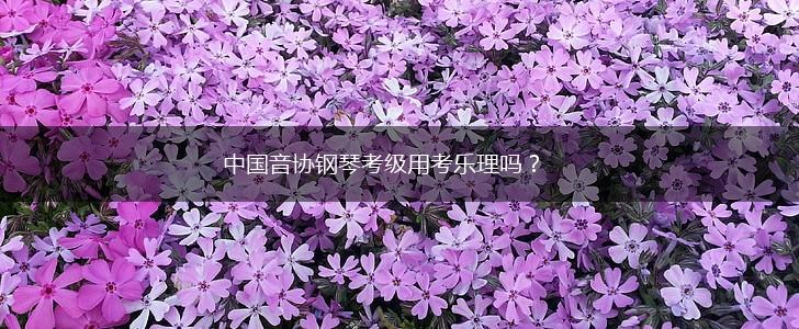 中国音协钢琴考级用考乐理吗？,第1张