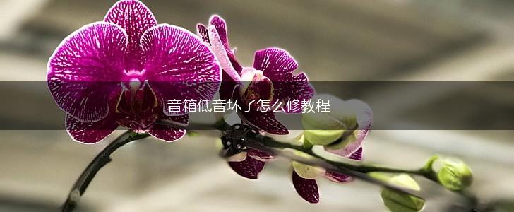 音箱低音坏了怎么修教程,第1张