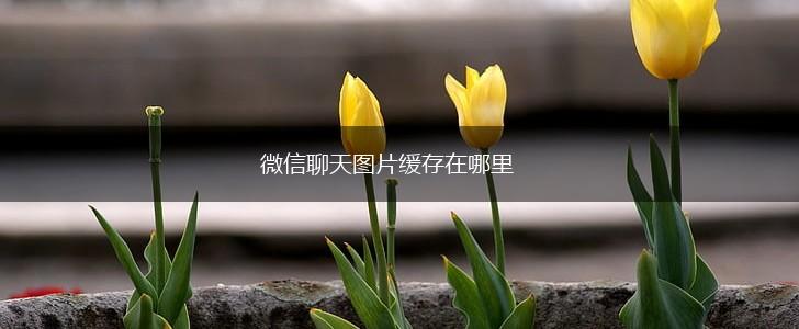 微信聊天图片缓存在哪里,第1张
