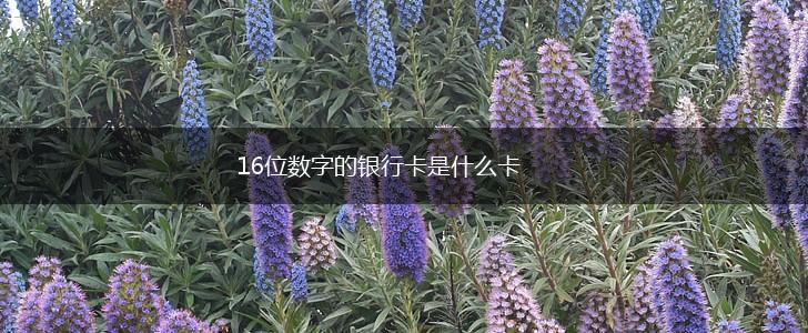 16位数字的银行卡是什么卡,第1张