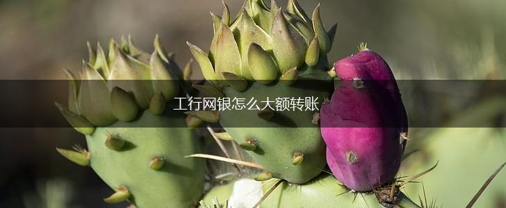 工行网银怎么大额转账,第1张