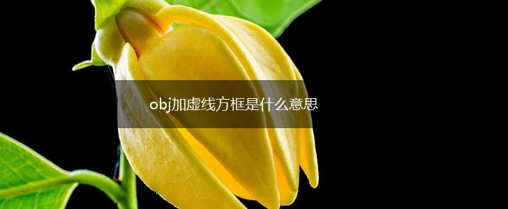 obj加虚线方框是什么意思,第1张