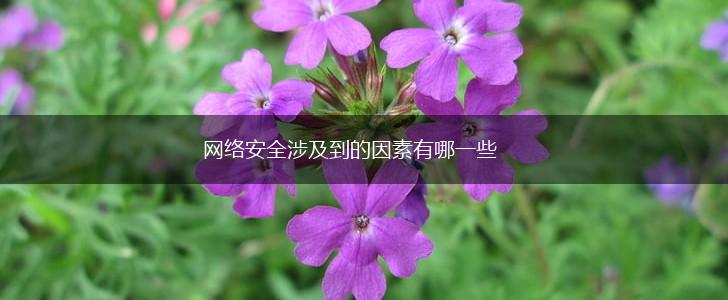 网络安全涉及到的因素有哪一些,第1张