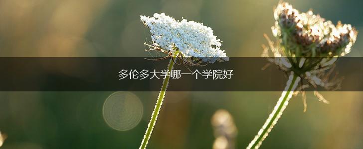 多伦多大学哪一个学院好,第1张