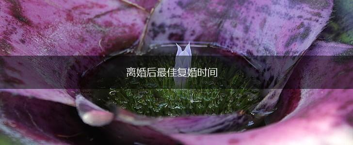 离婚后最佳复婚时间,第1张