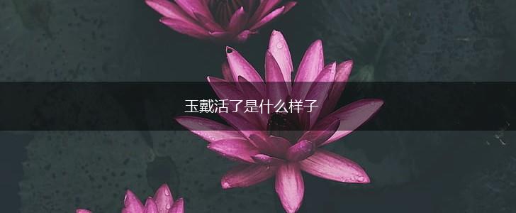 玉戴活了是什么样子,第1张