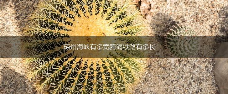 琼州海峡有多宽跨海铁路有多长,第1张