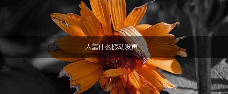 人靠什么振动发声,第1张 人靠什么振动发声,第1张
