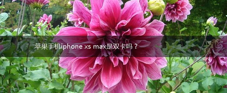 苹果手机iphone xs max是双卡吗？,第1张