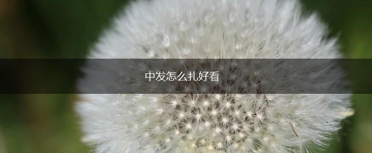 中发怎么扎好看,第1张