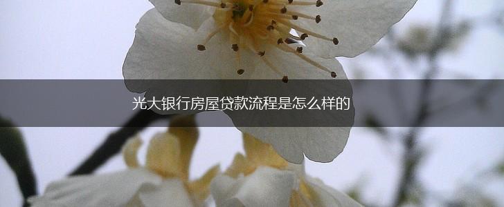 光大银行房屋贷款流程是怎么样的,第1张