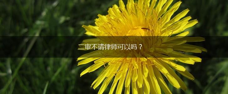 二审不请律师可以吗?,第1张 二审不请律师可以吗?,第1张