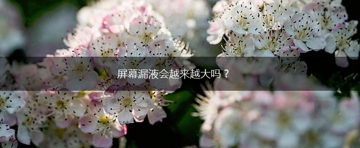 屏幕漏液会越来越大吗？,第1张