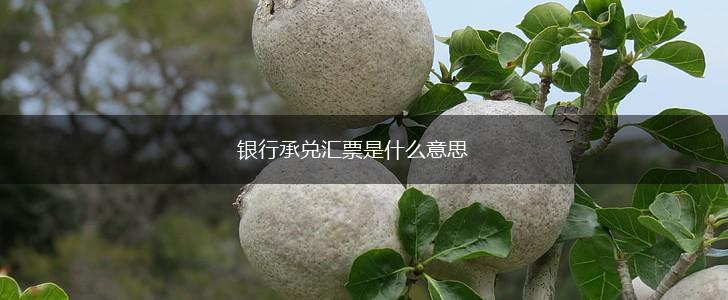 银行承兑汇票是什么意思,第1张