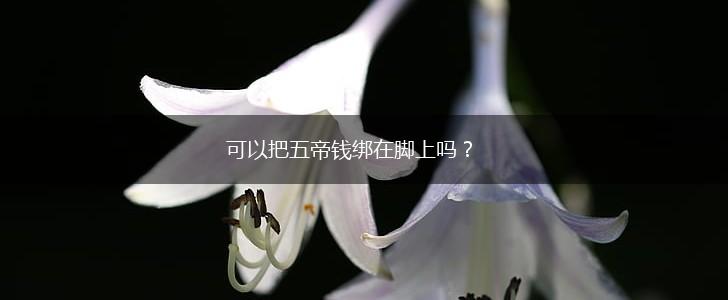 可以把五帝钱绑在脚上吗？,第1张