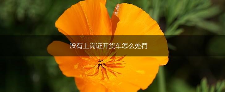 没有上岗证开货车怎么处罚,第1张