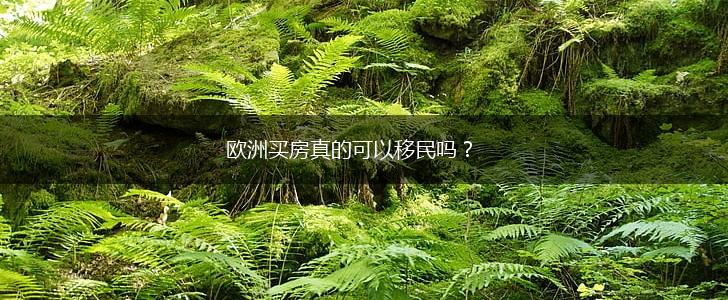 欧洲买房真的可以移民吗？,第1张