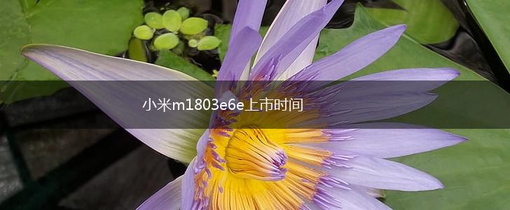 小米m1803e6e上市时间,第1张