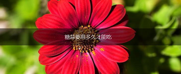 糖蒜要泡多久才能吃,第1张