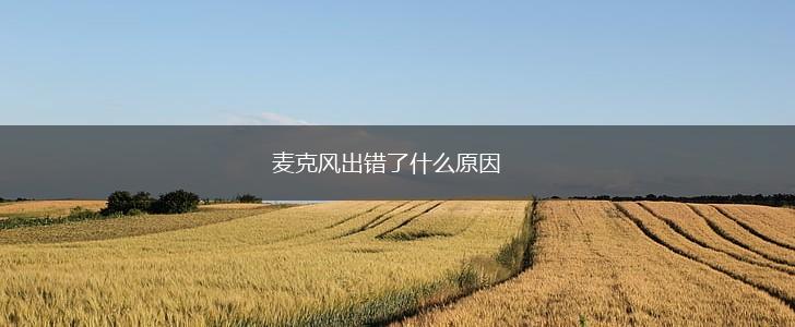 麦克风出错了什么原因,第1张