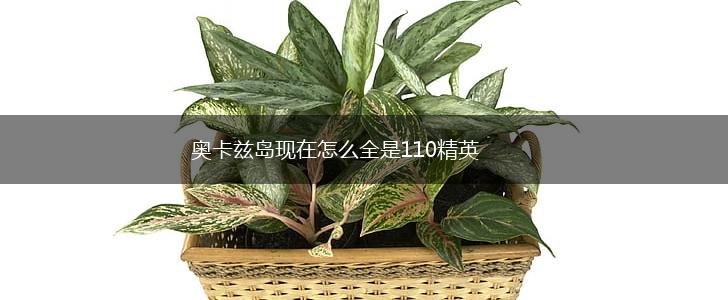 奥卡兹岛现在怎么全是110精英,第1张
