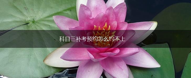 科目三补考预约怎么约不上,第1张