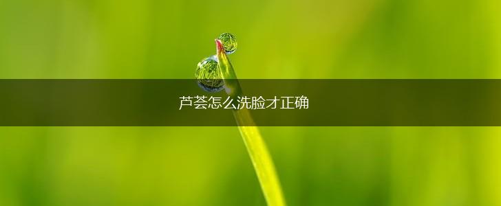 芦荟怎么洗脸才正确,第1张