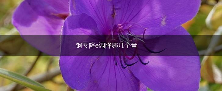 钢琴降e调降哪几个音,第1张