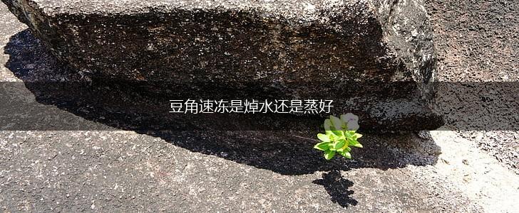 豆角速冻是焯水还是蒸好,第1张