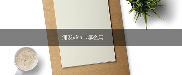 浦发visa卡怎么用,第1张