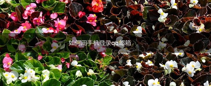如何用手机登录qq邮箱,第1张