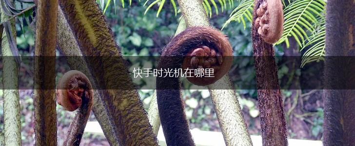 快手时光机在哪里,第1张