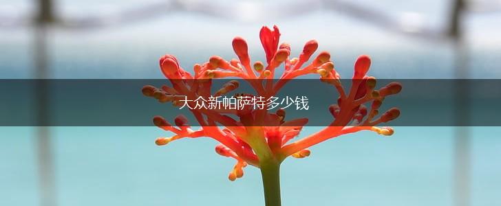大众新帕萨特多少钱,第1张