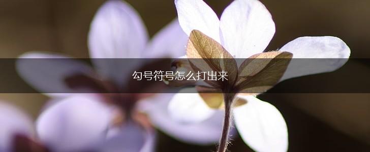 勾号符号怎么打出来,第1张