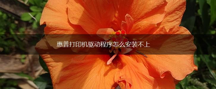惠普打印机驱动程序怎么安装不上,第1张
