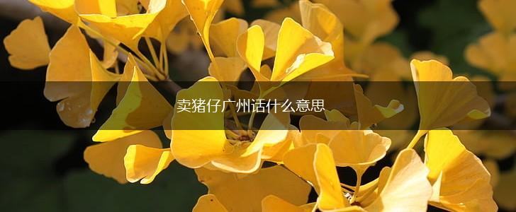 卖猪仔广州话什么意思,第1张