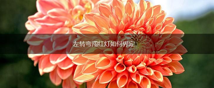左转弯闯红灯如何界定,第1张