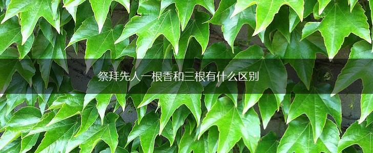 祭拜先人一根香和三根有什么区别,第1张