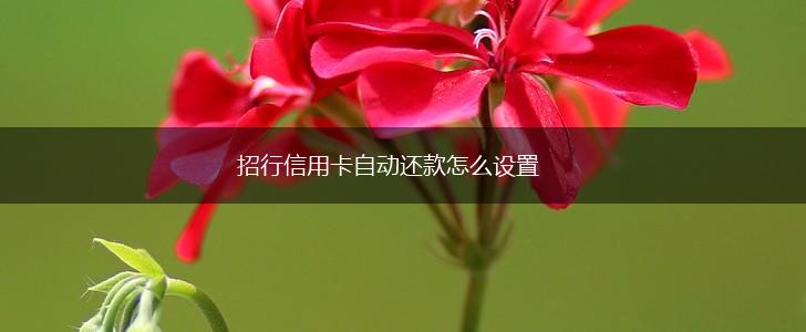 招行信用卡自动还款怎么设置,第1张 招行信用卡自动还款怎么设置,第1张