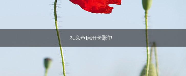 怎么查信用卡账单,第1张