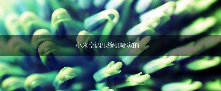 小米空调压缩机哪家的,第1张