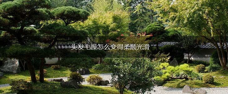 头发毛躁怎么变得柔顺光滑,第1张