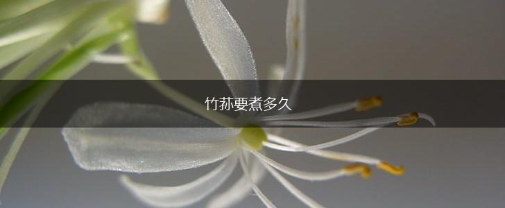 竹荪要煮多久,第1张