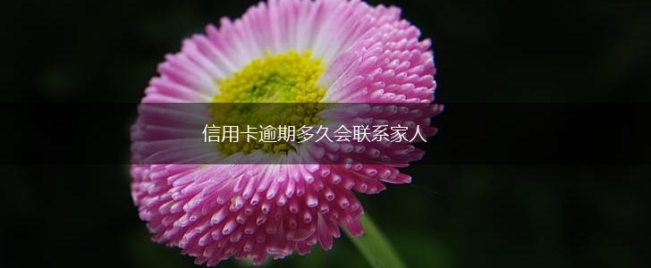 信用卡逾期多久会联系家人,第1张