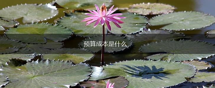 预算成本是什么,第1张