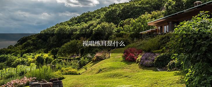视唱练耳是什么,第1张