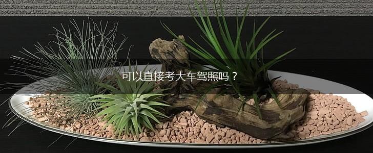可以直接考大车驾照吗？,第1张