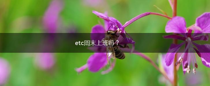 etc周末上班吗？,第1张